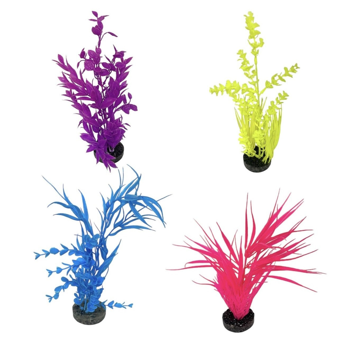 Aqua Culture Water Bouquet Aquarium Plant, Approximately 11 inches Tall