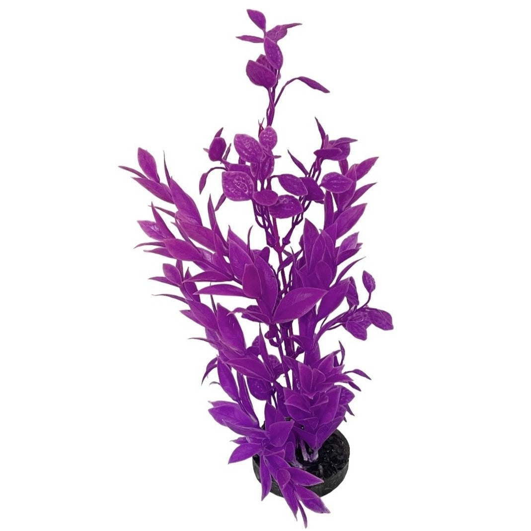 Aqua Culture Water Bouquet Aquarium Plant, Approximately 11 inches Tall